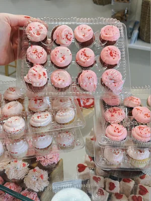 wilmington mini cupcakes